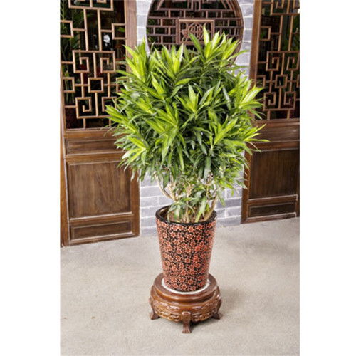 寶山工廠綠化收費與養(yǎng)護服務指南