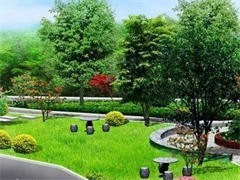 上海城市綠化養(yǎng)護服務 守護城市生態(tài)之美